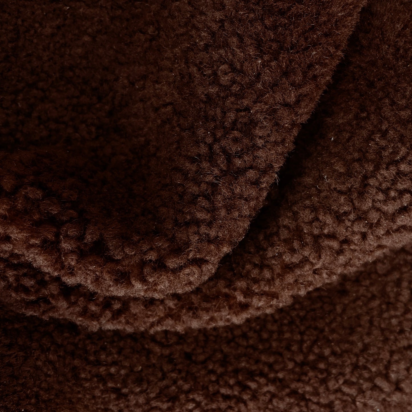 Curly Merino