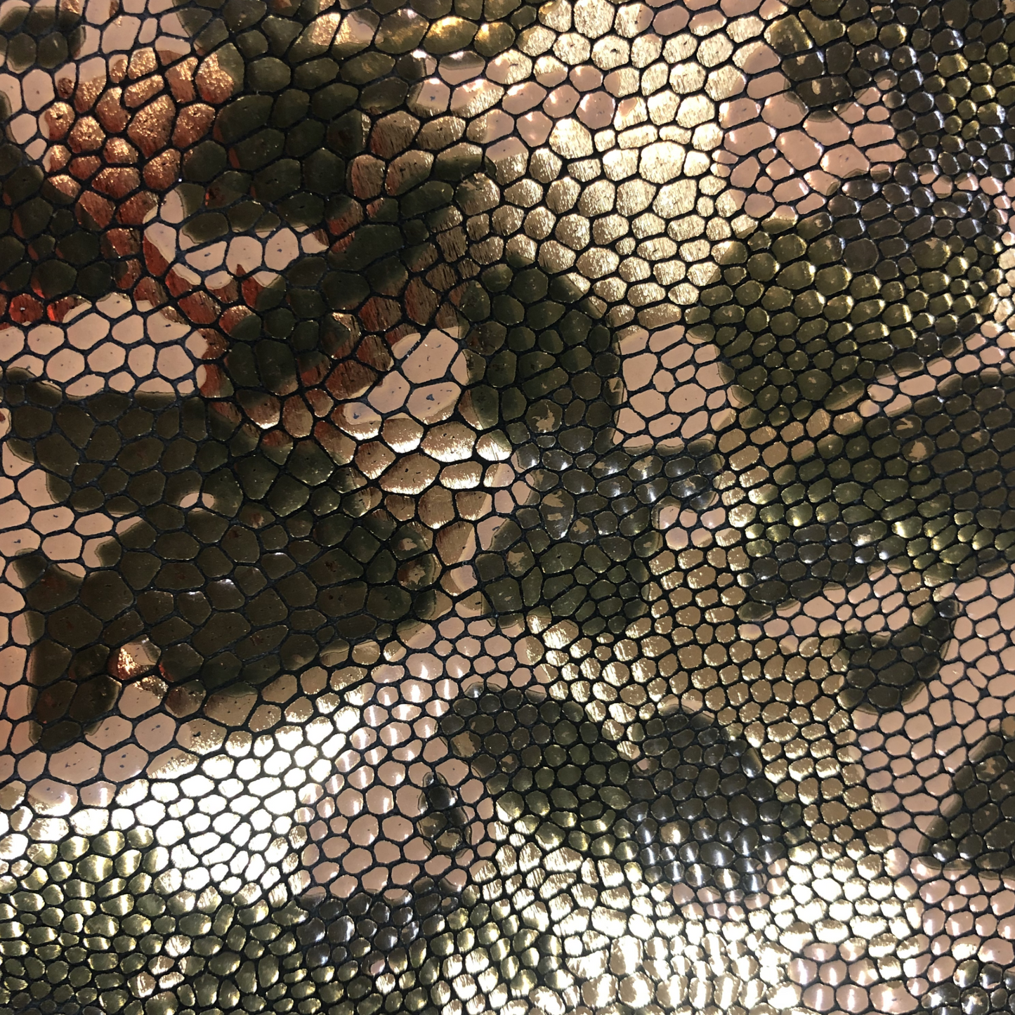 Metallic Snake on Camo Print