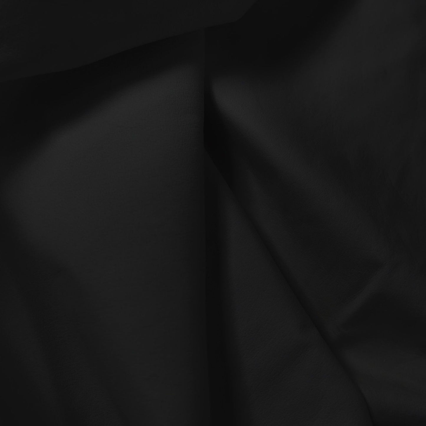 Japanese Plonge (Black) Cow Walter Reginald Group