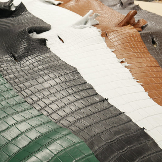 Crocodile skins