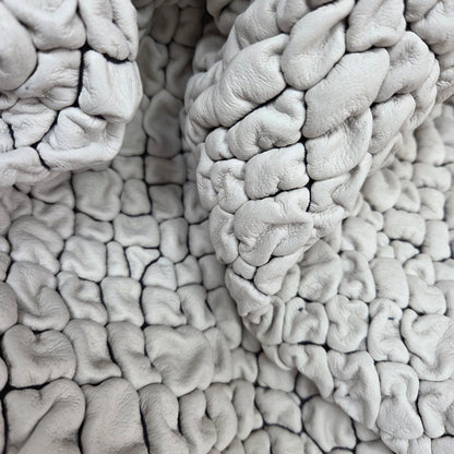 Dino Pig Skin