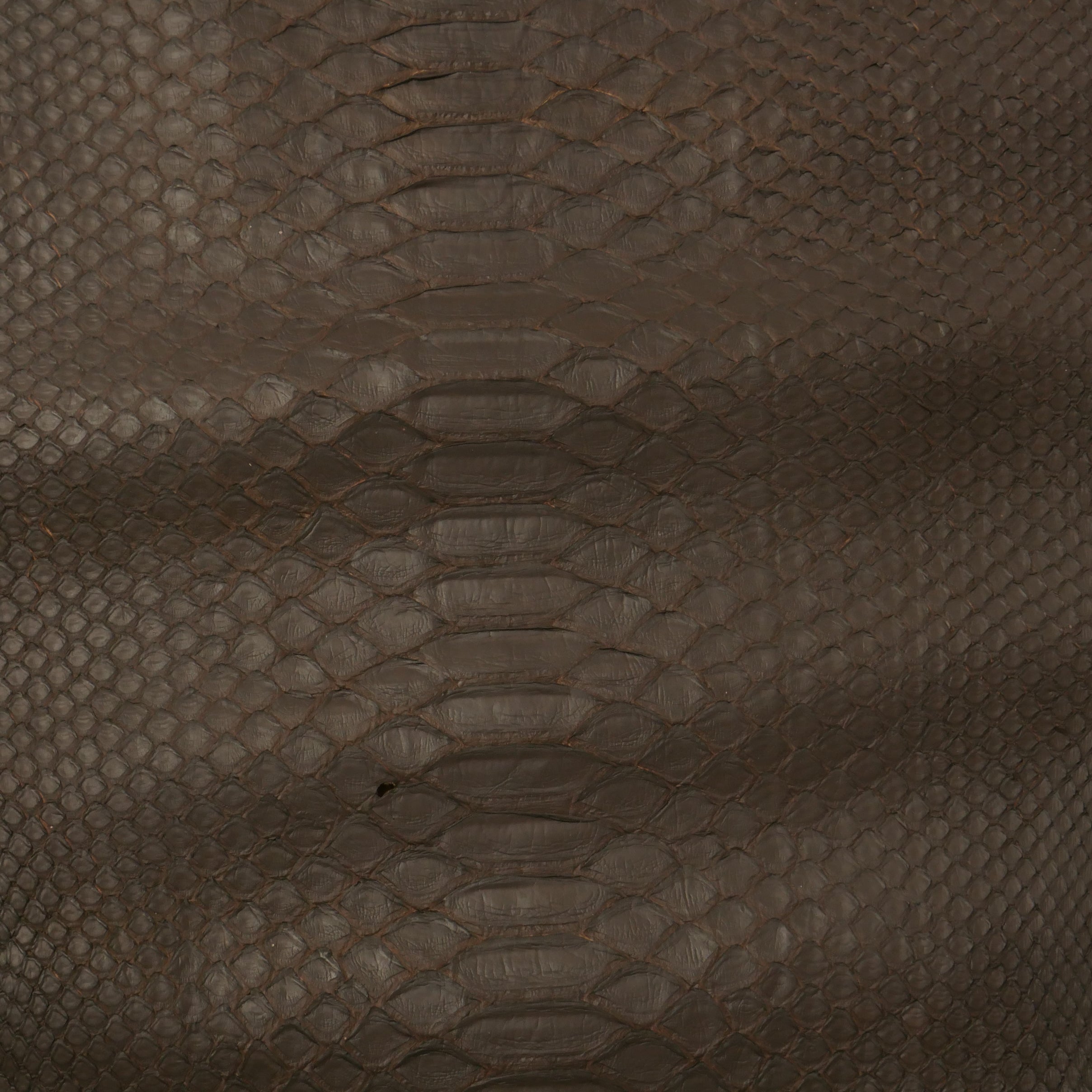 Python skins – Walter Reginald Group