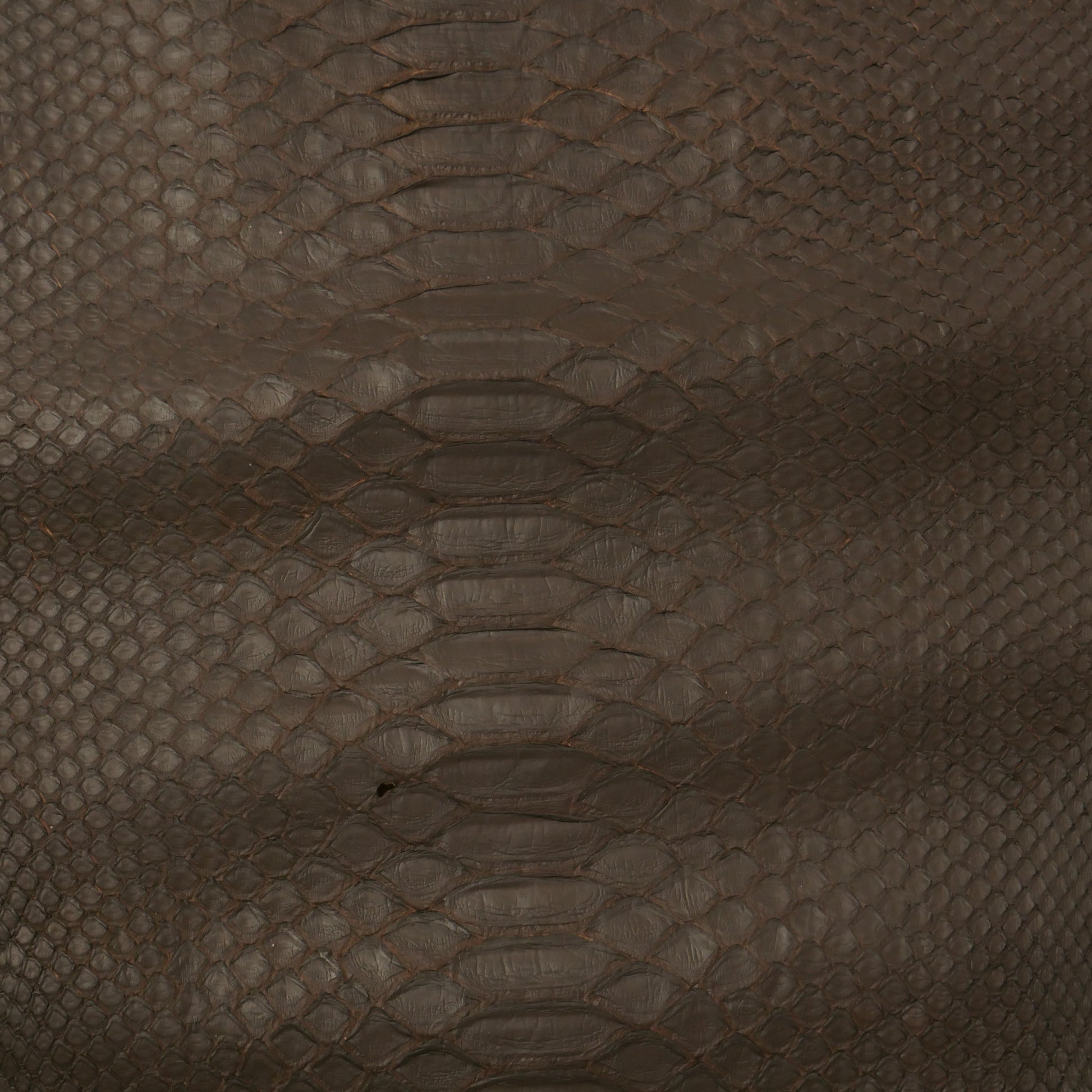 Python skins – Walter Reginald Group