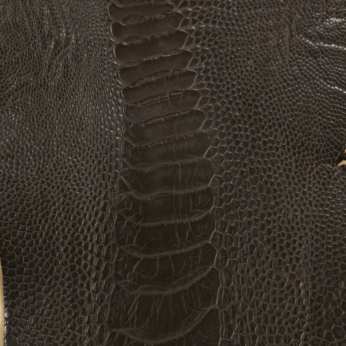 Ostrich Legs