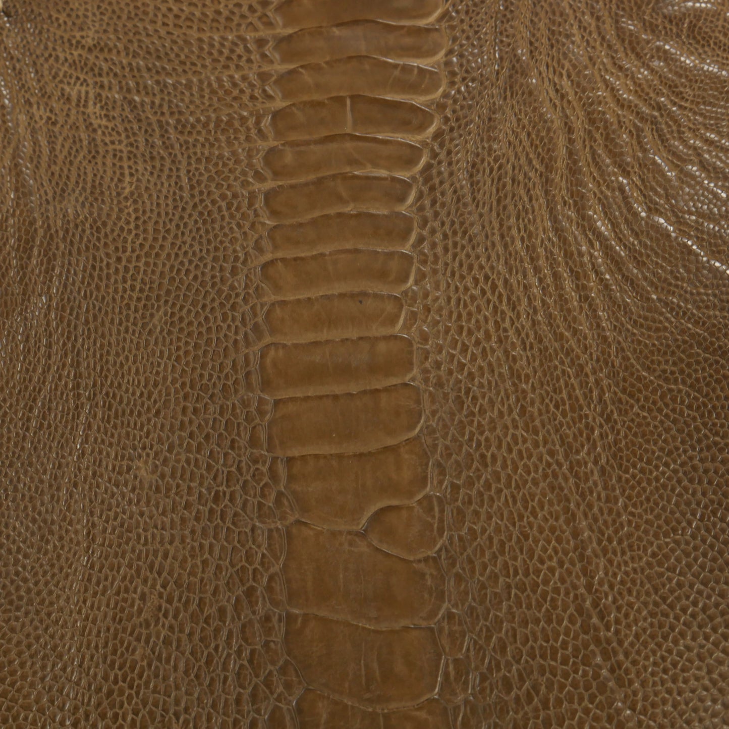 Ostrich Legs